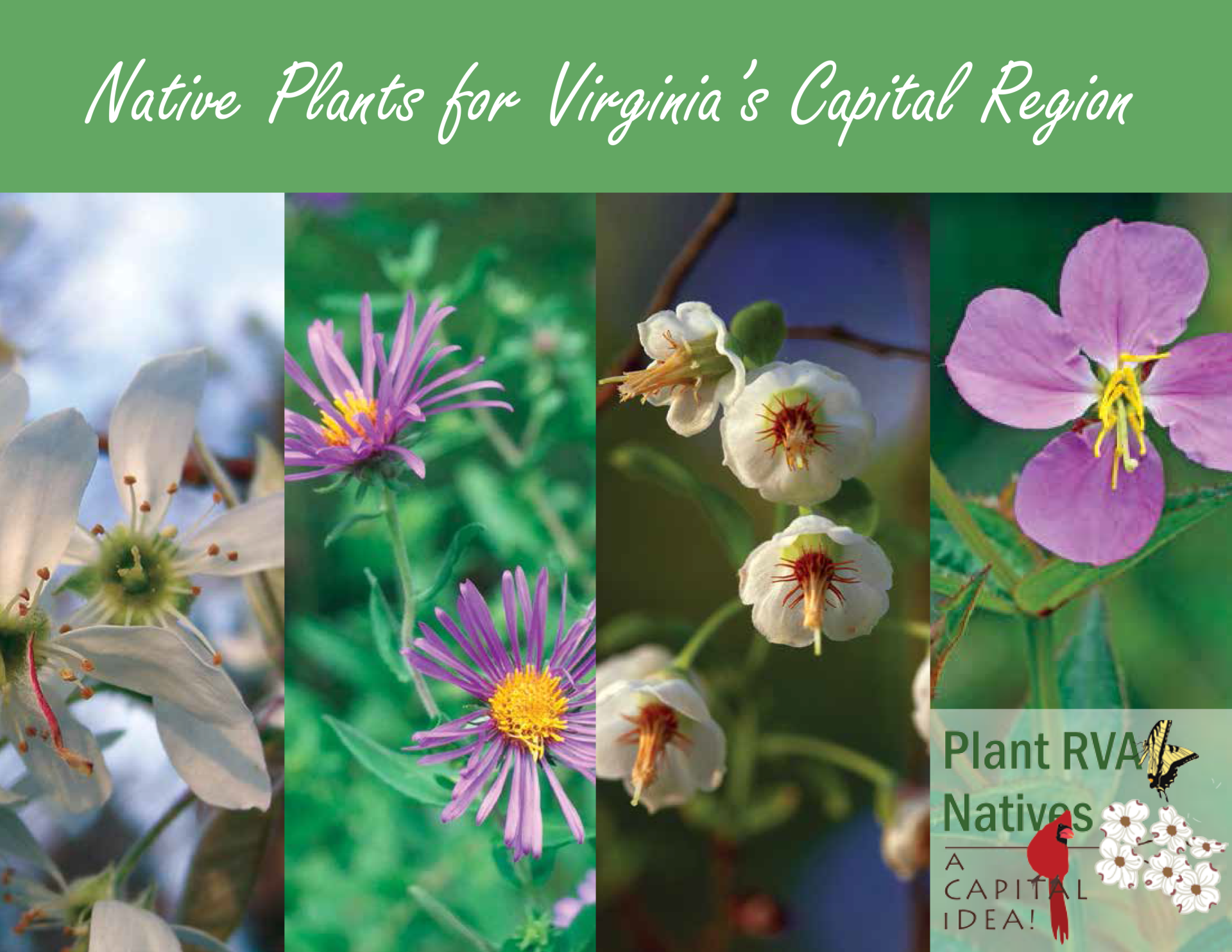 Cover-of-Virginia-Capital-Region-Guide