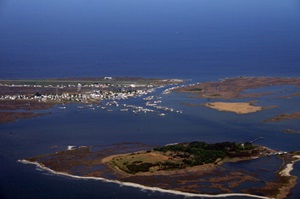 Picture1
