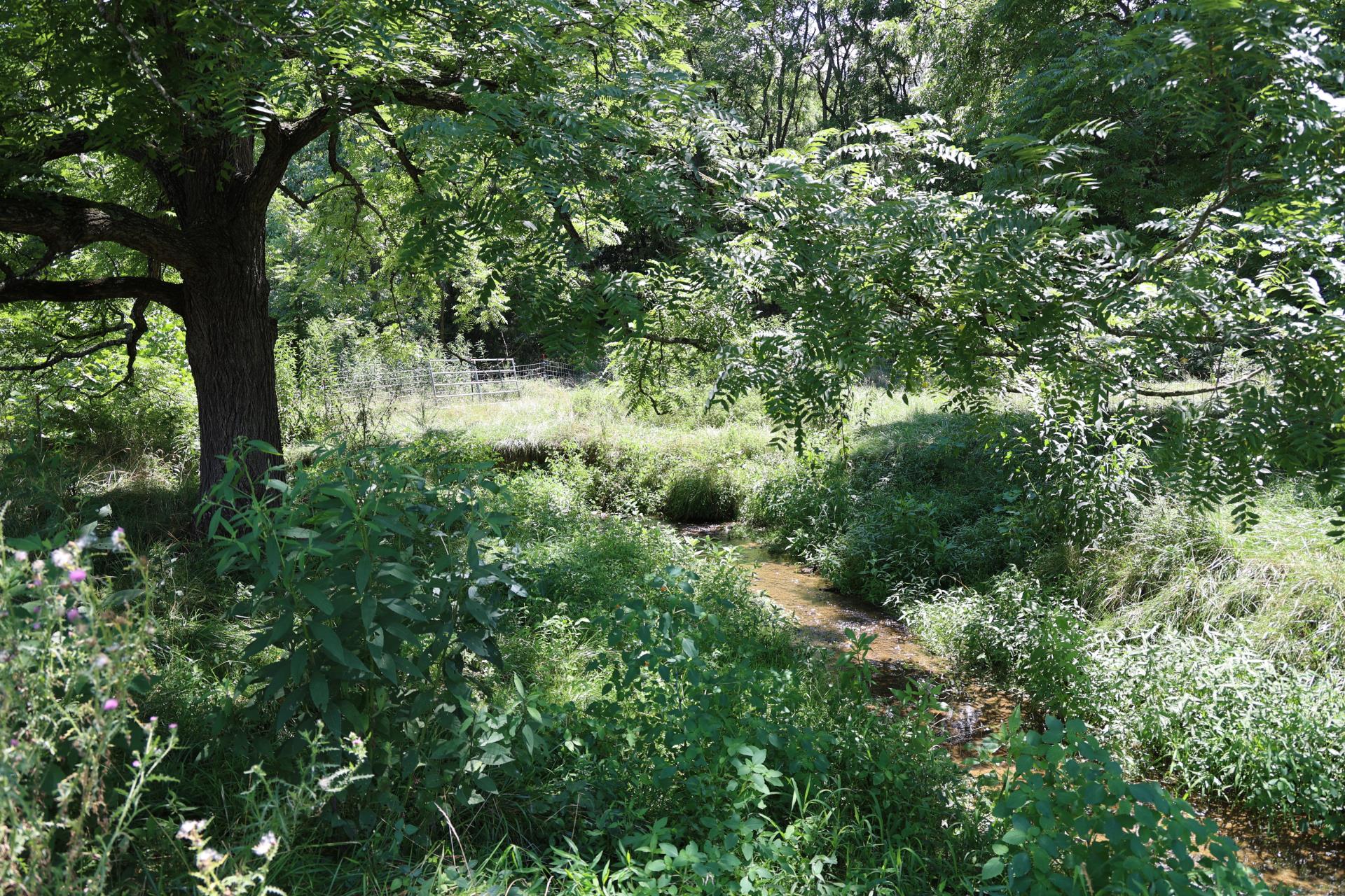 NPS Fencing