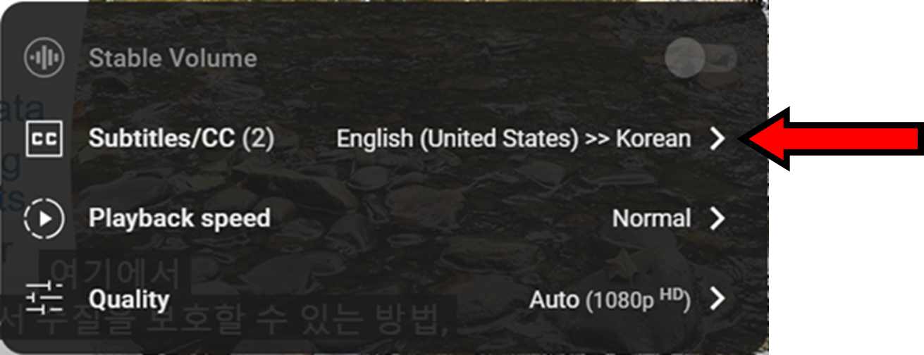Subtitles_Menu_select_Korean