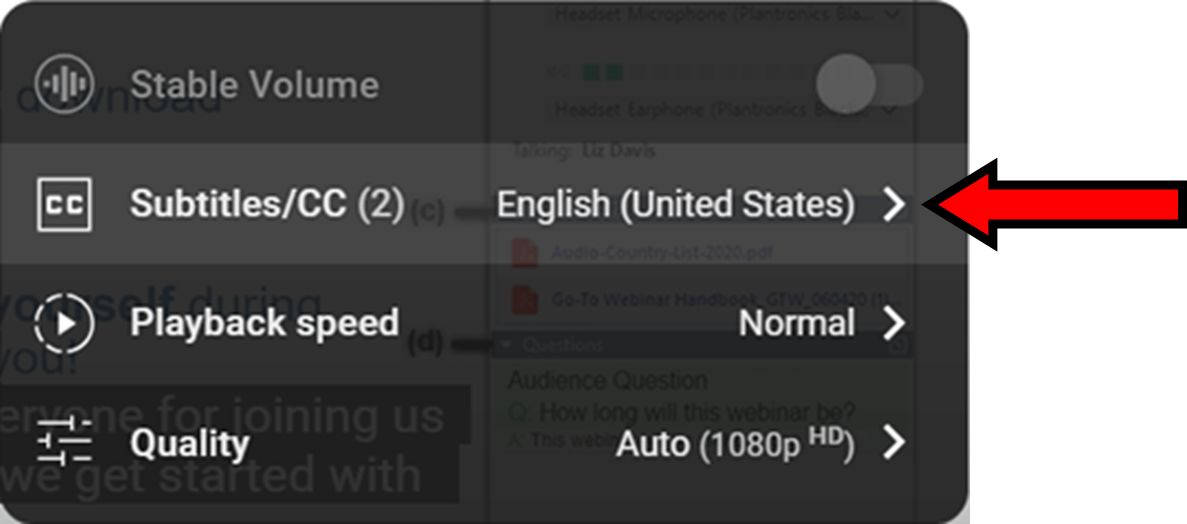 Subtitles_Menu