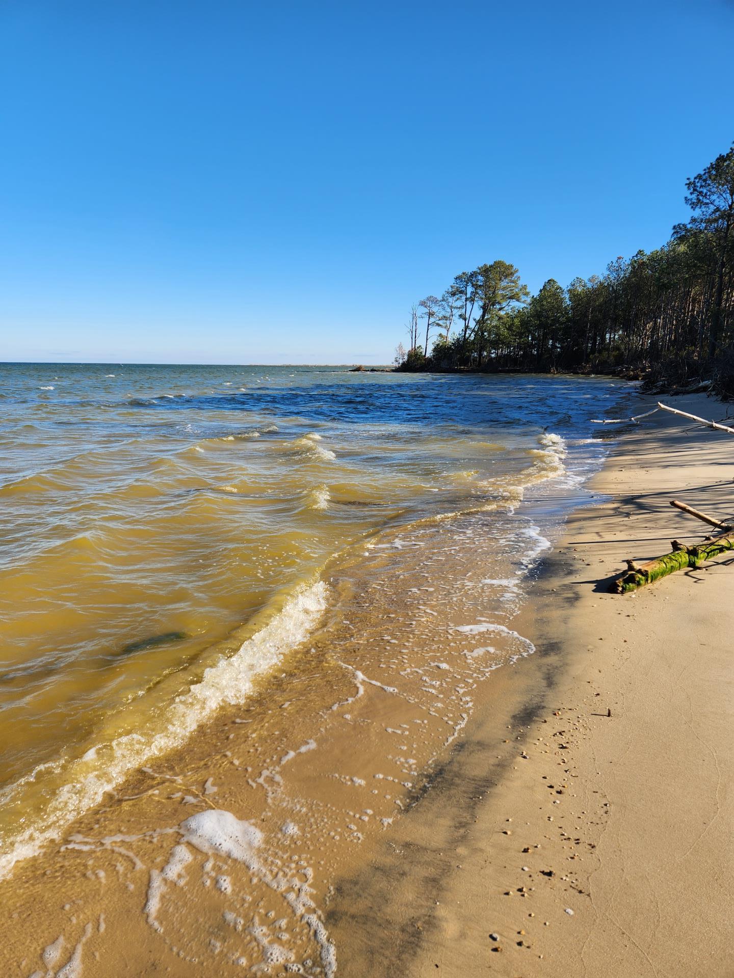Chesapeake Bay at Dameron Marsh 20230115_133929