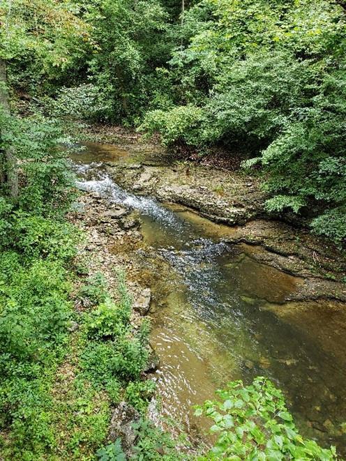 Water Quality Integrated Report