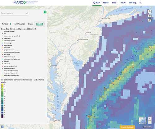 A screenshot of the MARCO portal with corals observed and core abundance of cetaceans at Mid-A scale.