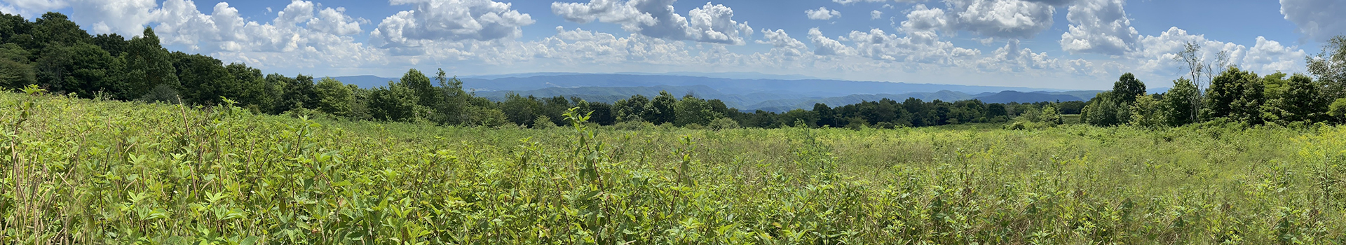 BristolLandfill